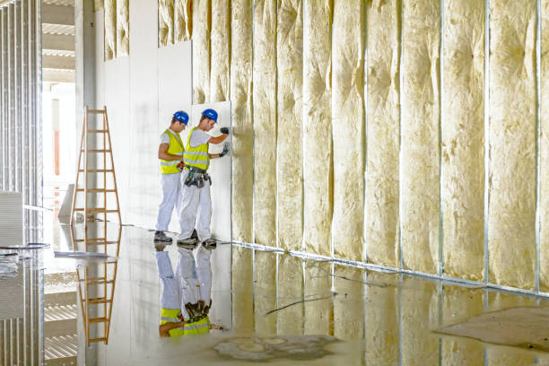 Best Commercial Insulation in Lewistown, PA